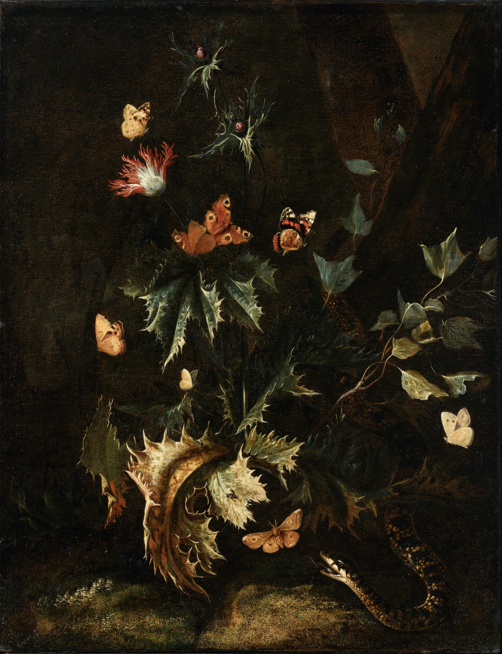 scena del sottobosco con farfalle, rettili, fiori di cardo e papaveri da oppio -  bottega di Otto Marseus van Schrieck