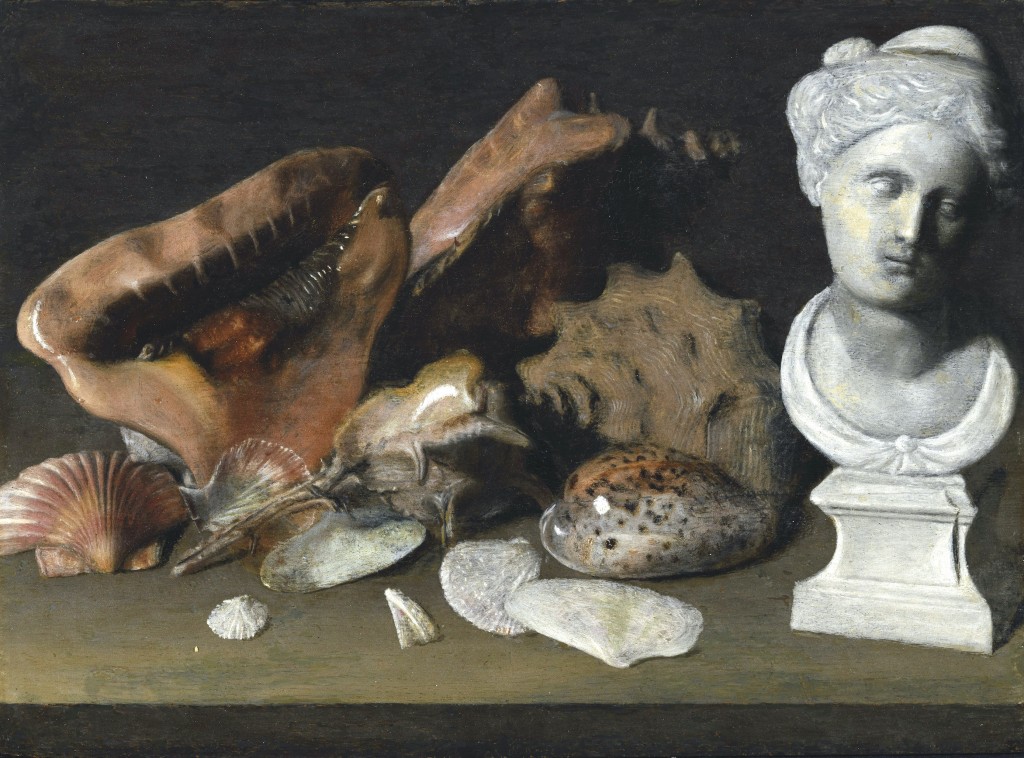 Natura Morta con conchiglie e piccolo busto marmoreo -  cerchia di Cornelis van der Meulen