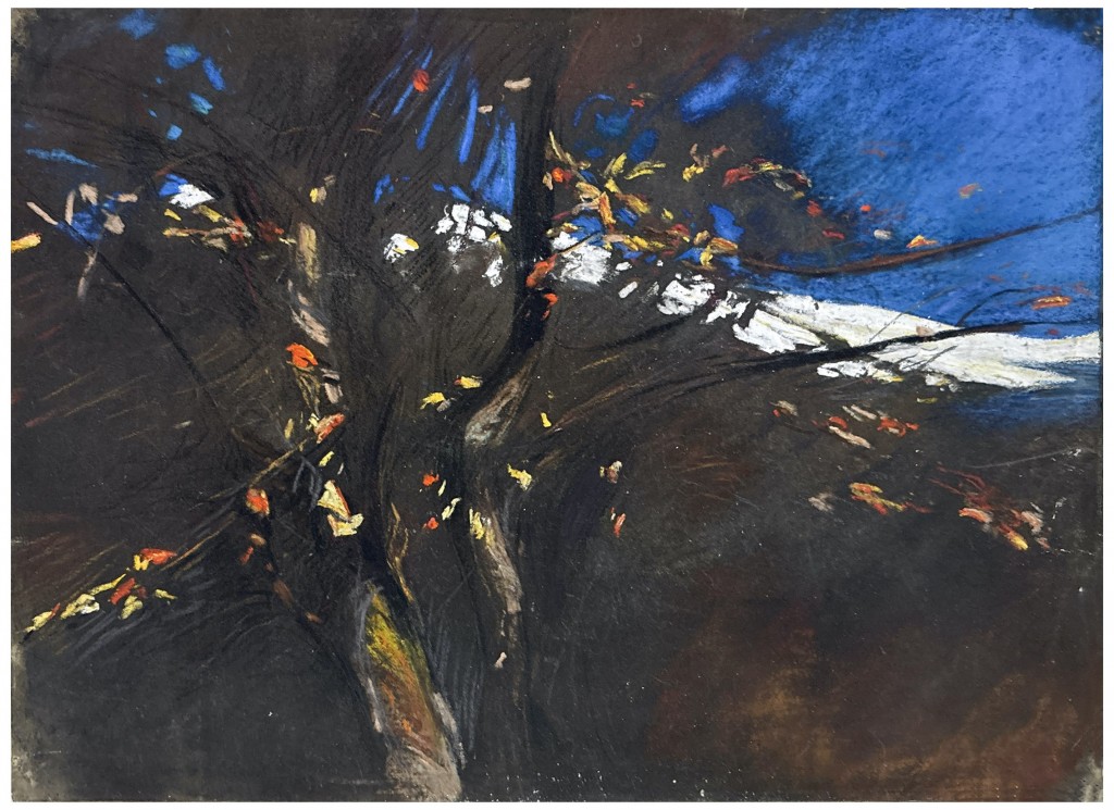 Autunno in val Veny - Alessandro Poma